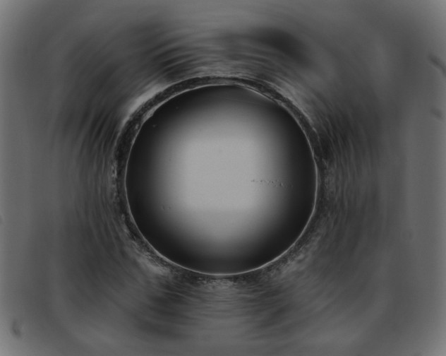 X0000093450971200710121350