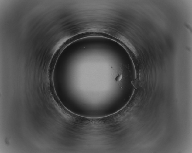 X0000093450972200710121350