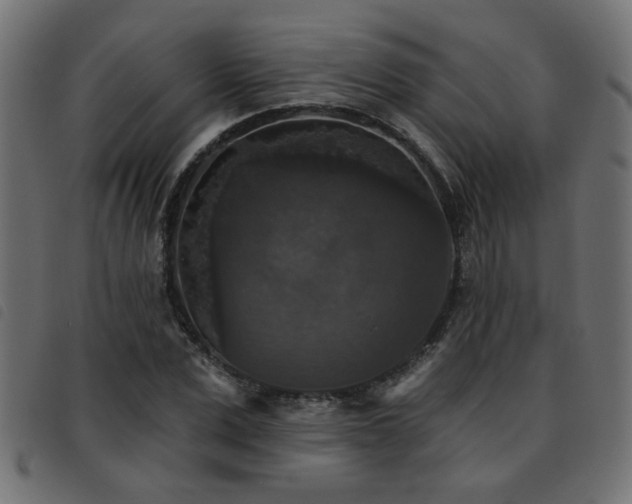 X0000093450975200710121350