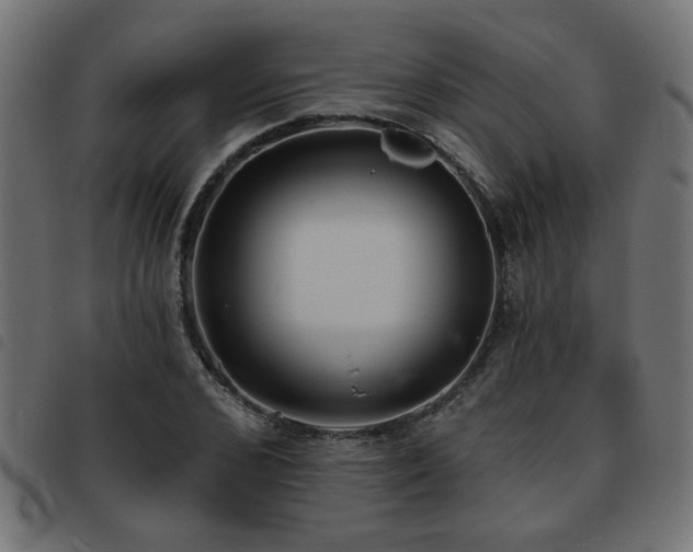 X0000093450976200710121350