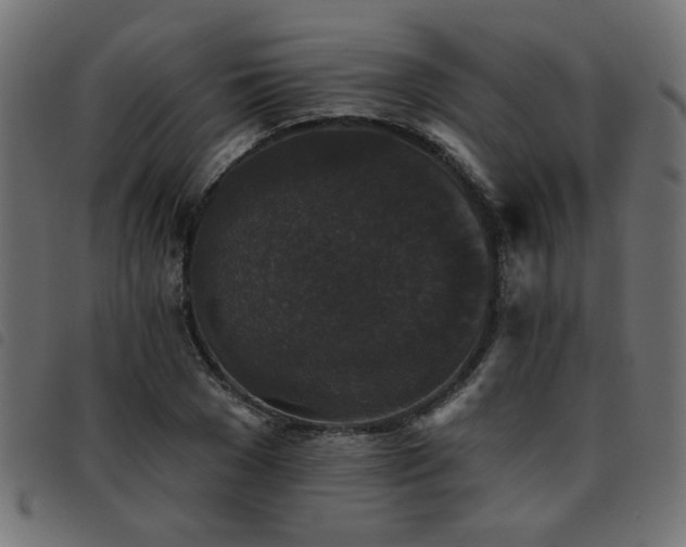 X0000093450977200710121350