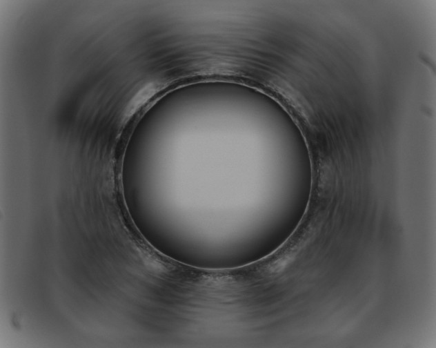 X0000093450978200710121350