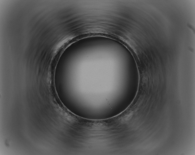 X0000093450979200710121350
