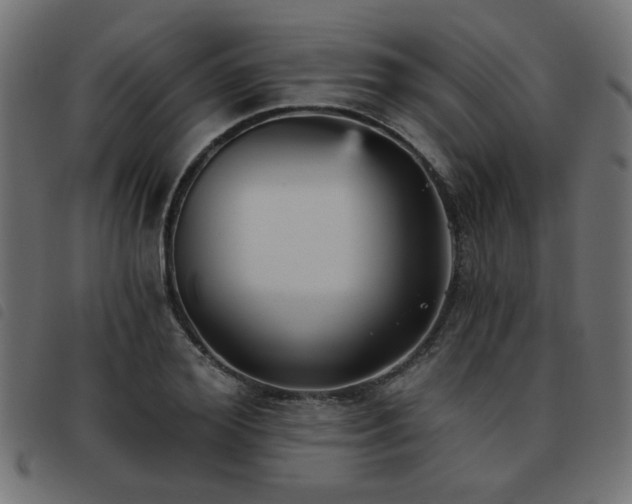 X0000093450980200710121350