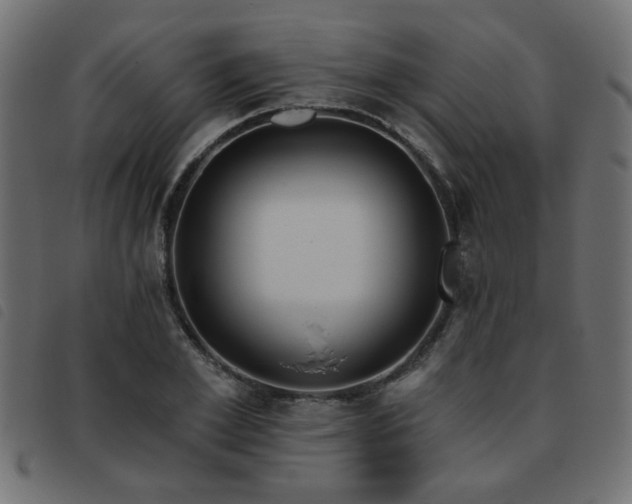 X0000093450981200710121350