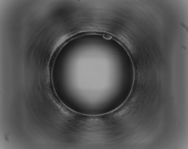 X0000093450982200710121350