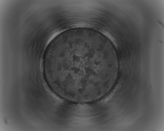 X0000093450983200710121350