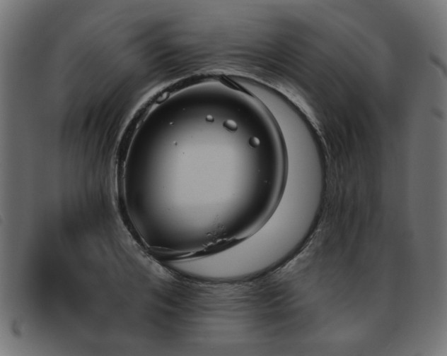 X0000093450984200710121350