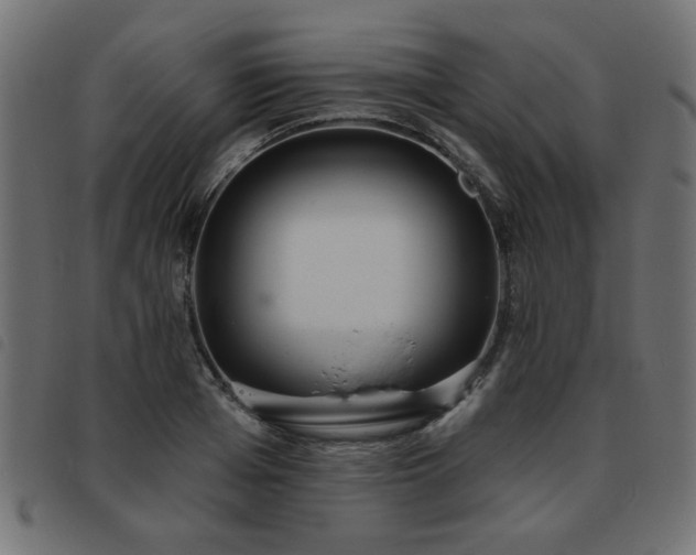 X0000093450985200710121350