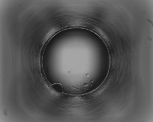 X0000093450986200710121350