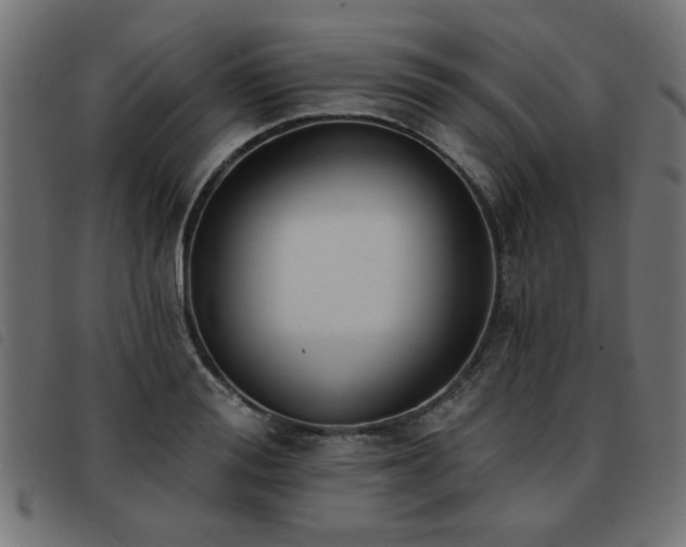 X0000093450988200710121350