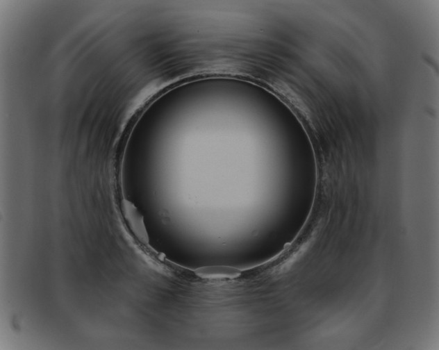 X0000093450989200710121350