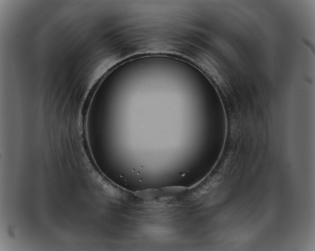 X0000093450990200710121350
