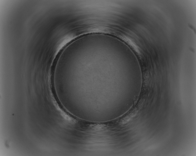 X0000093450991200710121350