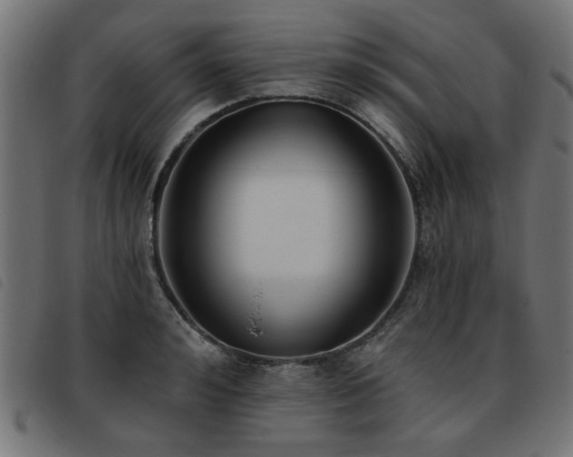 X0000093450992200710121350