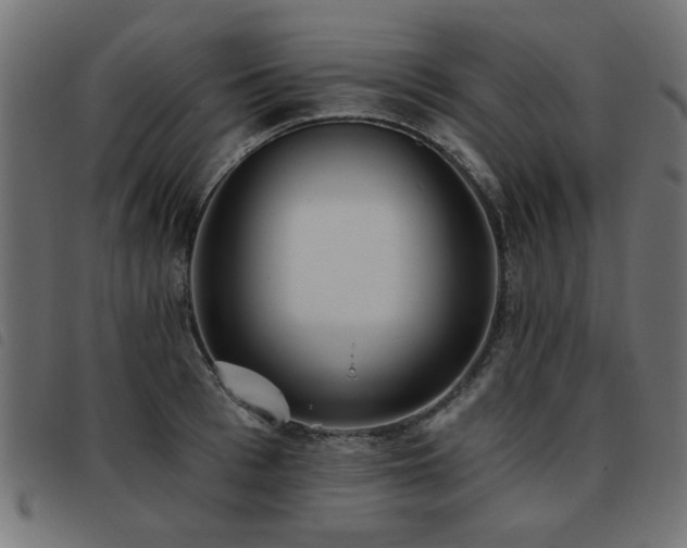 X0000093450993200710121350