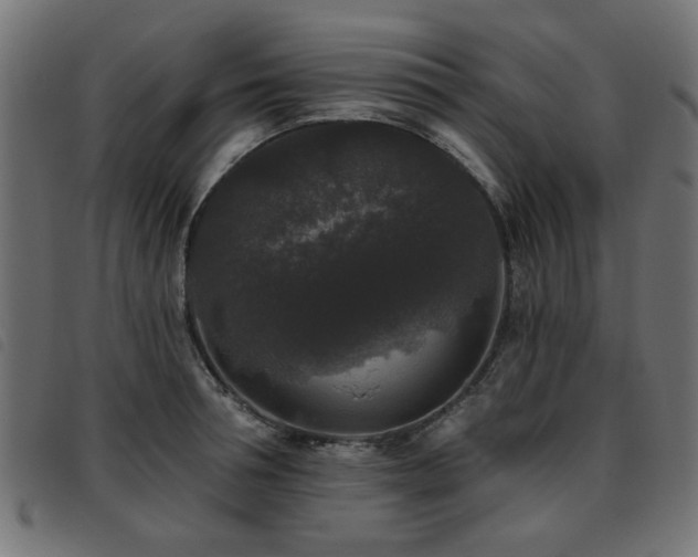 X0000093450994200710121350