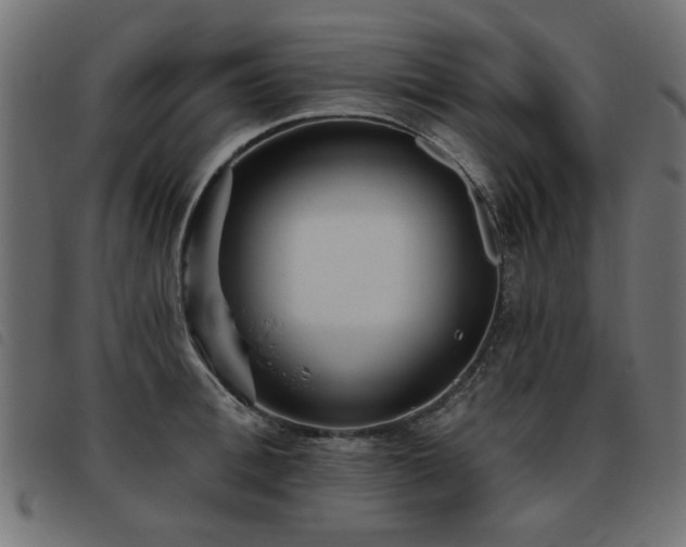 X0000093450996200710121350