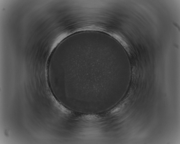 X0000093450998200710121350