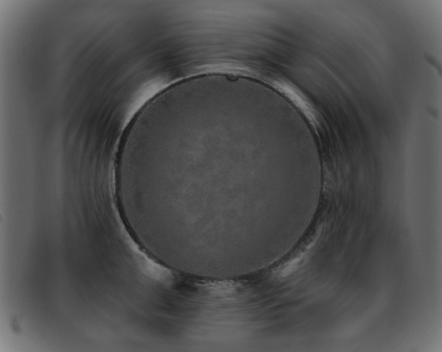 X0000093450999200710121350