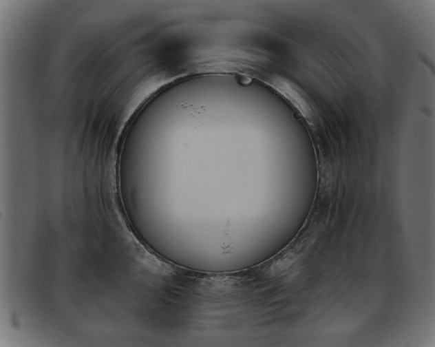 X0000093451000200710121350