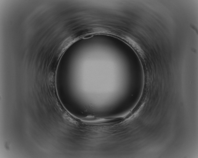 X0000093451001200710121350