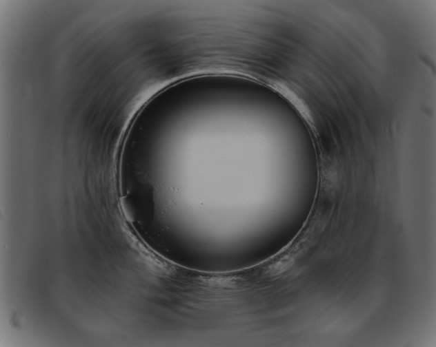 X0000093451004200710121350