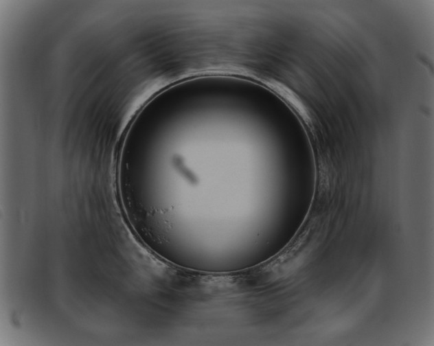 X0000093451006200710121350