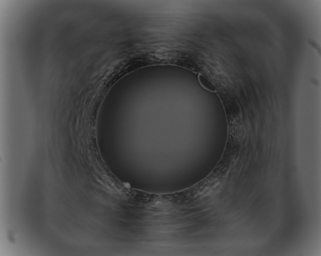X0000093451009200710121349