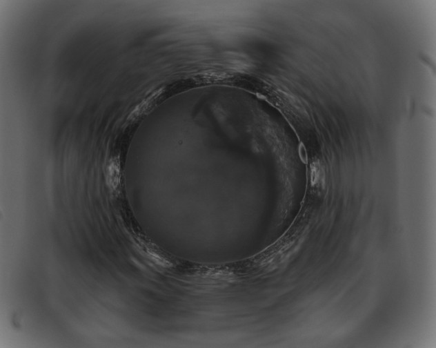 X0000093451011200710121349
