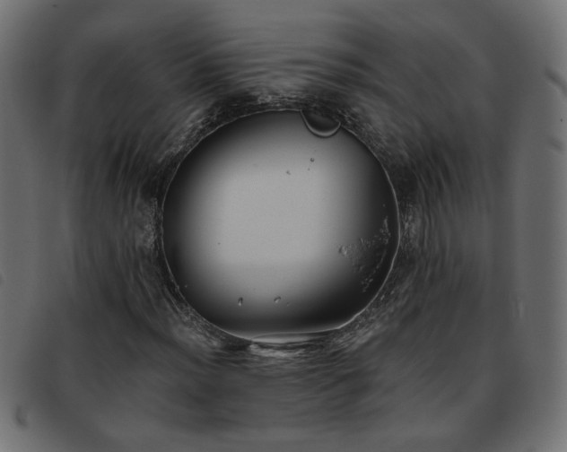 X0000093451012200710121349