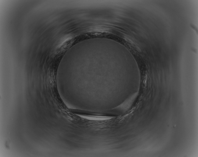 X0000093451014200710121349
