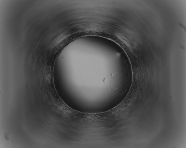 X0000093451015200710121349