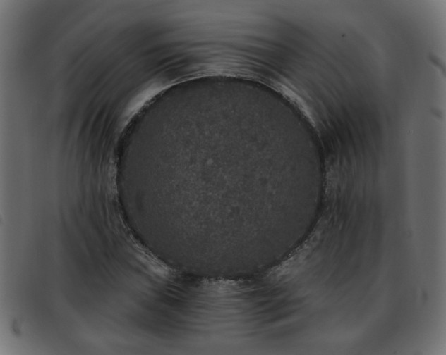 X0000093451019200710121349