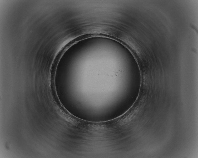 X0000093451020200710121349