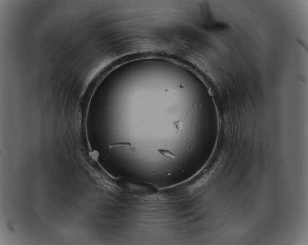 X0000093451021200710121349