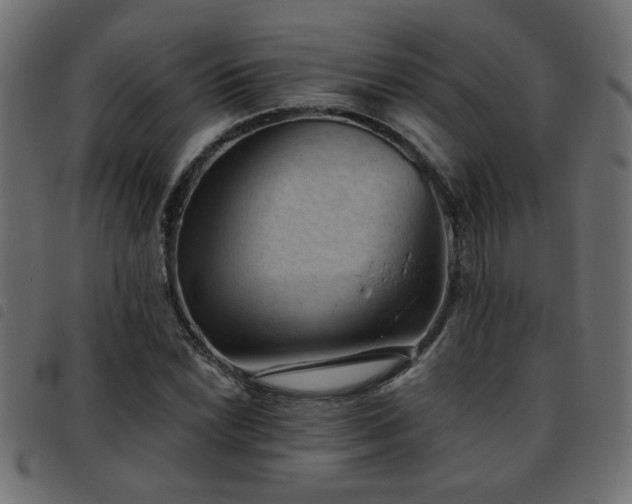 X0000093451022200710121349