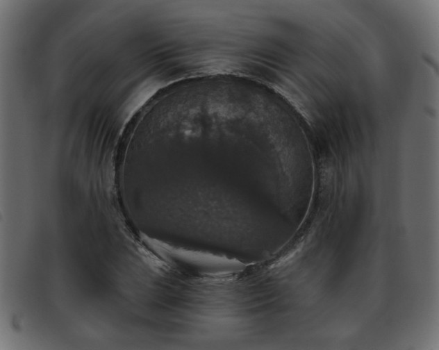 X0000093451023200710121349