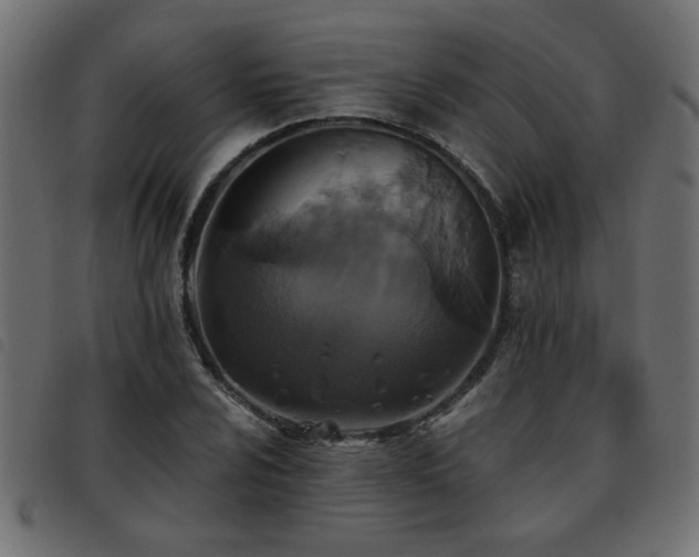 X0000093451024200710121349