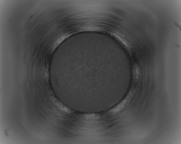X0000093451025200710121349