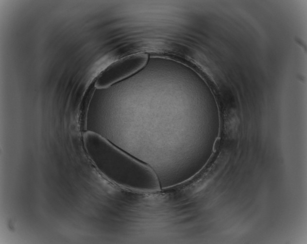 X0000093451026200710121349
