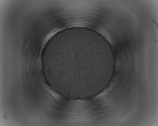 X0000093451027200710121350