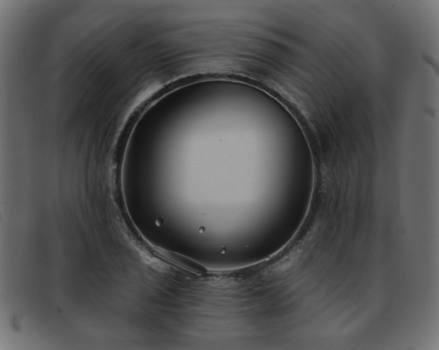 X0000093451029200710121350