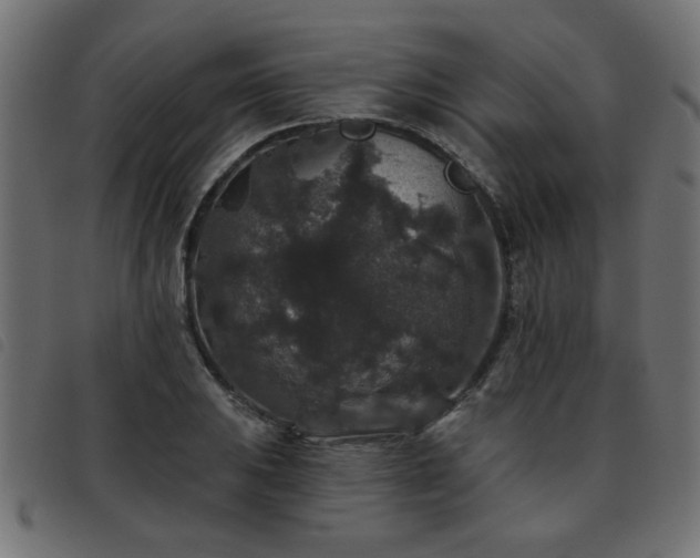 X0000093451031200710121350