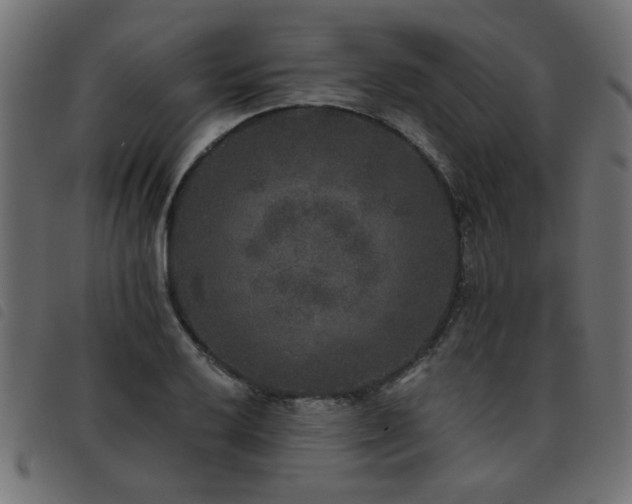 X0000093451032200710121350
