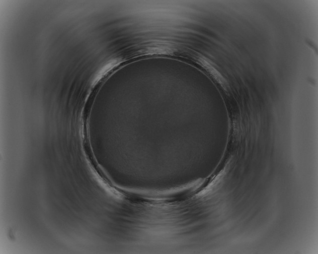 X0000093451034200710121350