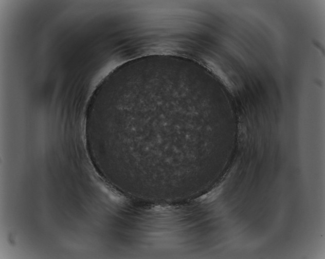 X0000093451035200710121350