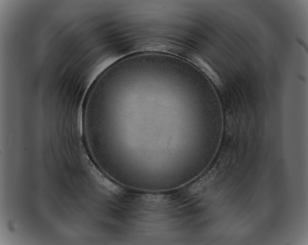 X0000093451036200710121350