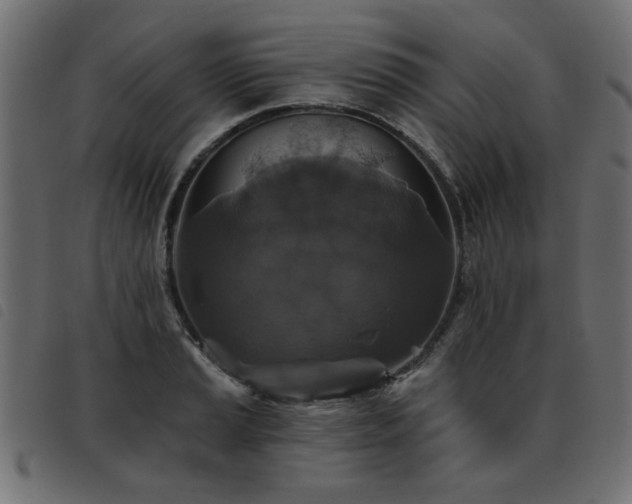 X0000093451037200710121350