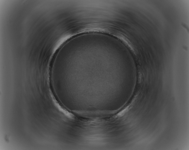 X0000093451038200710121350